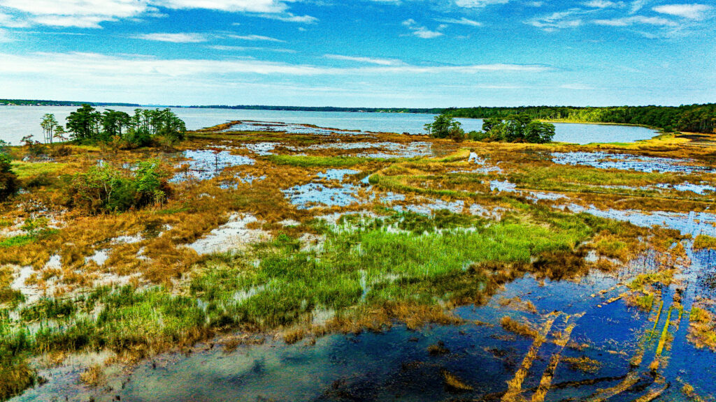 Weeks Bay Fairhope AL